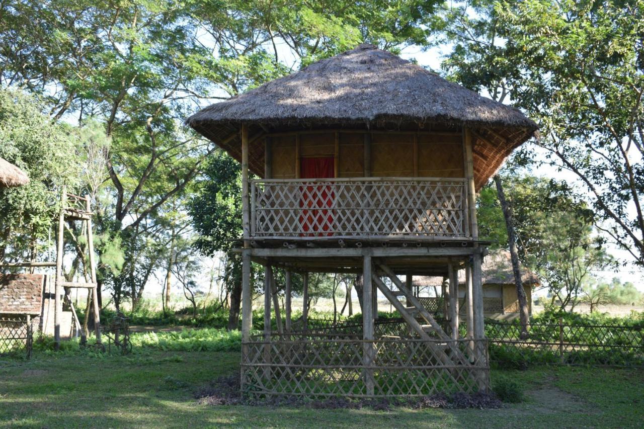 Dhansiri Eco Camp Bokākhāt Exteriér fotografie